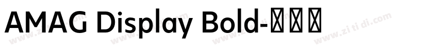 AMAG Display Bold字体转换